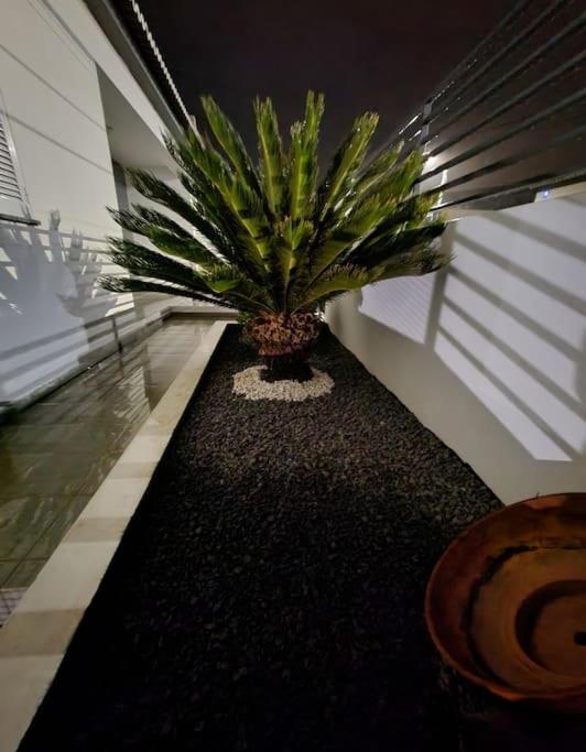 Vila Da Pesca House Rabo de Peixe エクステリア 写真